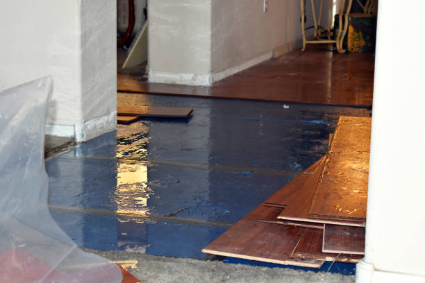 Professional Sewage Cleanup technician working in Creighton, MO